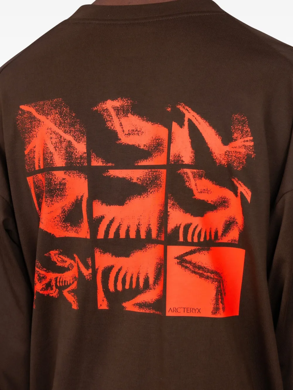 Arc'teryx Kragg Bird Tile Cotton T-shirt In Brown