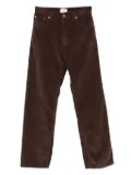 Haikure corduroy cotton trousers - Brown