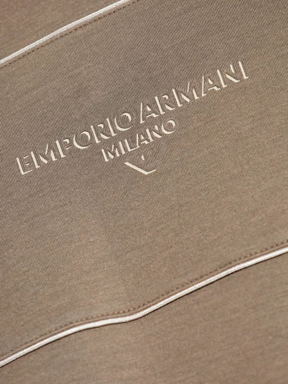 Emporio Armani Double Jersey Hoodie With 3d Logo In Neutral