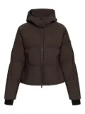 Moose Knuckles hooded puffer jacket - Brown