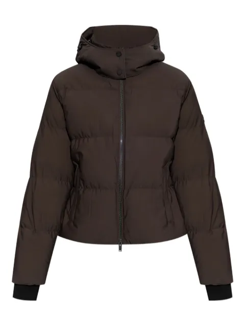 Moose Knuckles hooded puffer jacket