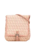 Fendi Pre-Owned 2012-2025 Zucchino Canvas crossbody bag - Brown