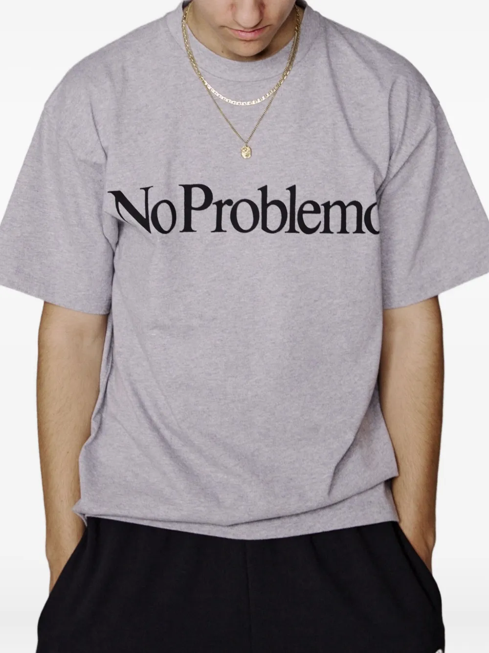 Aries No Problemo T-shirt In Gray