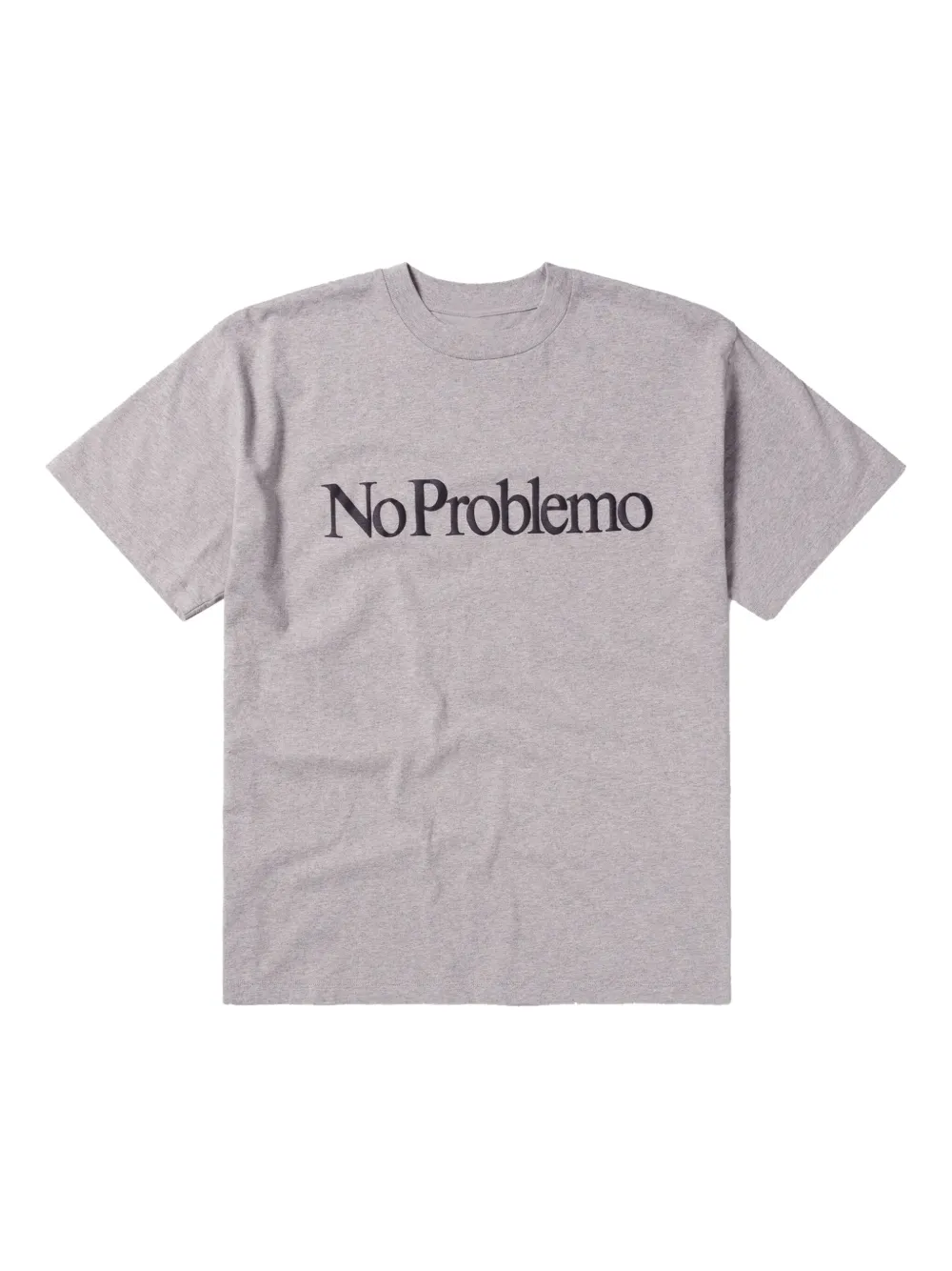 Aries No Problemo T-shirt In Gray