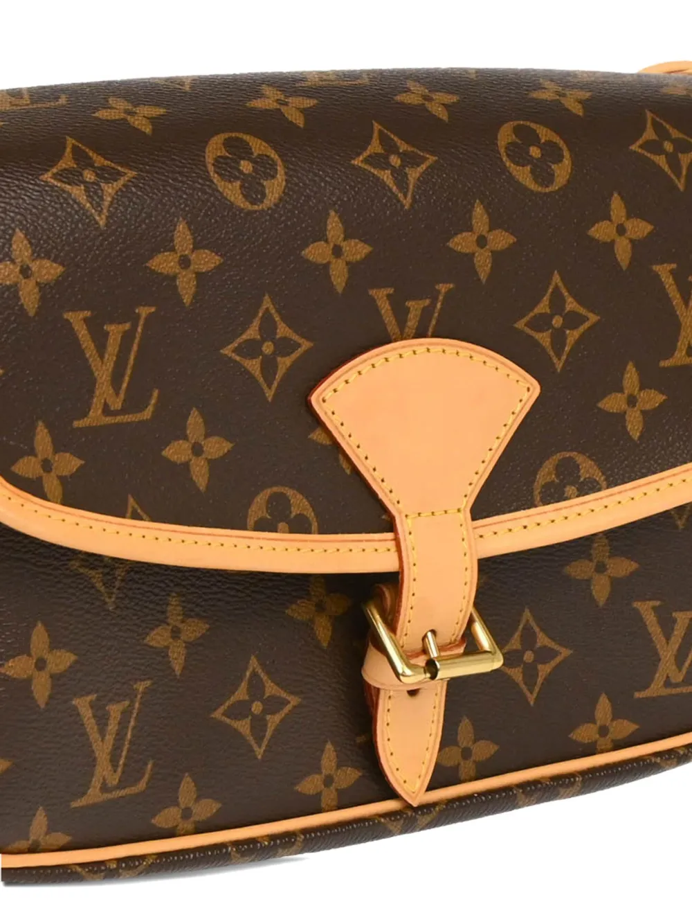 Pre-owned Louis Vuitton 2012 Sologne Shoulder Bag In Brown