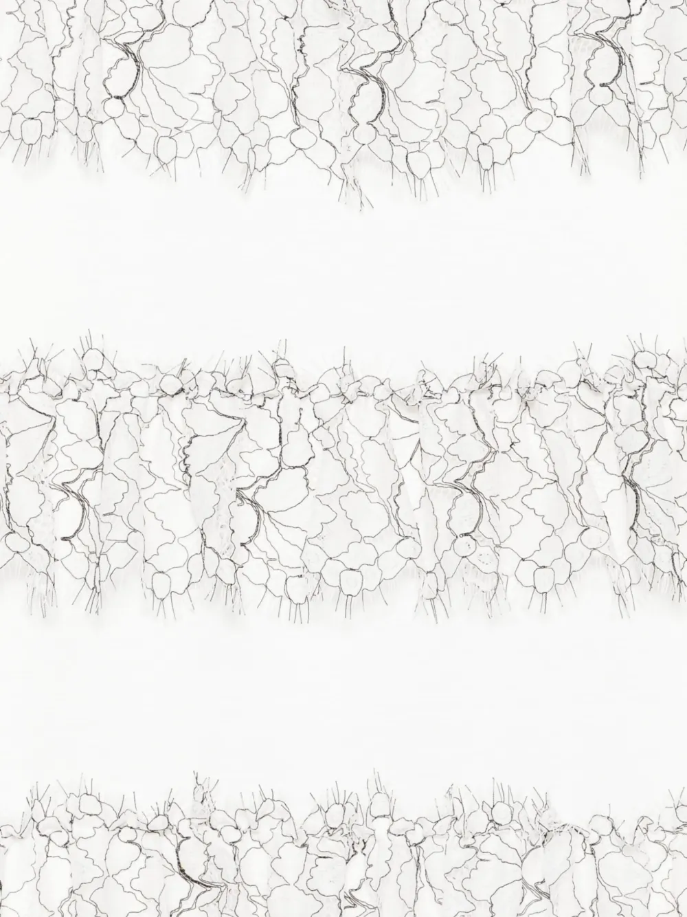 Parlor Lace-banded Cotton T-shirt In White