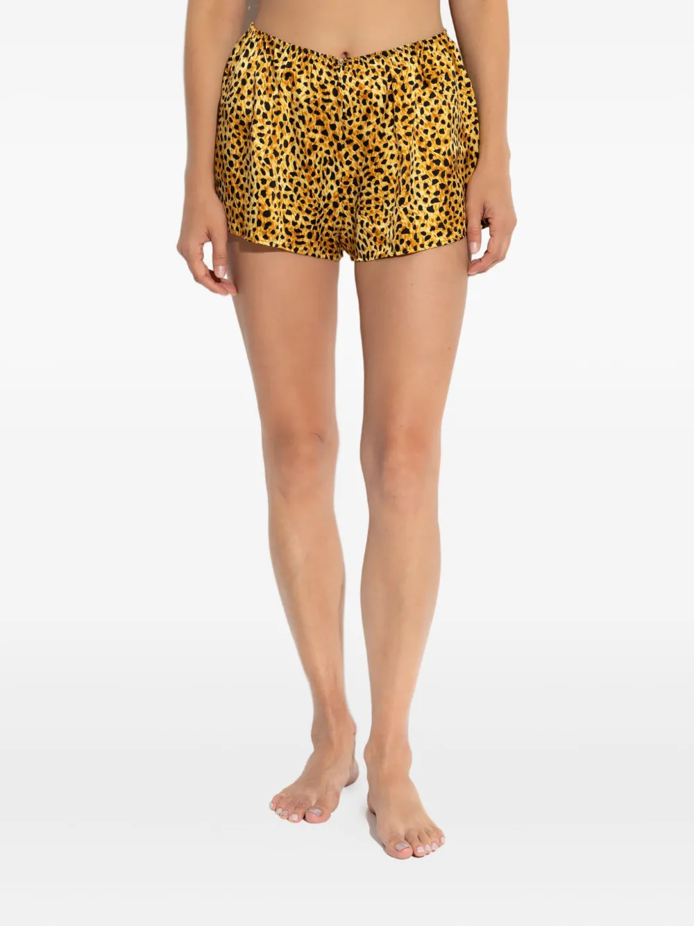 Versace Leopard-print Silk Shorts In Black