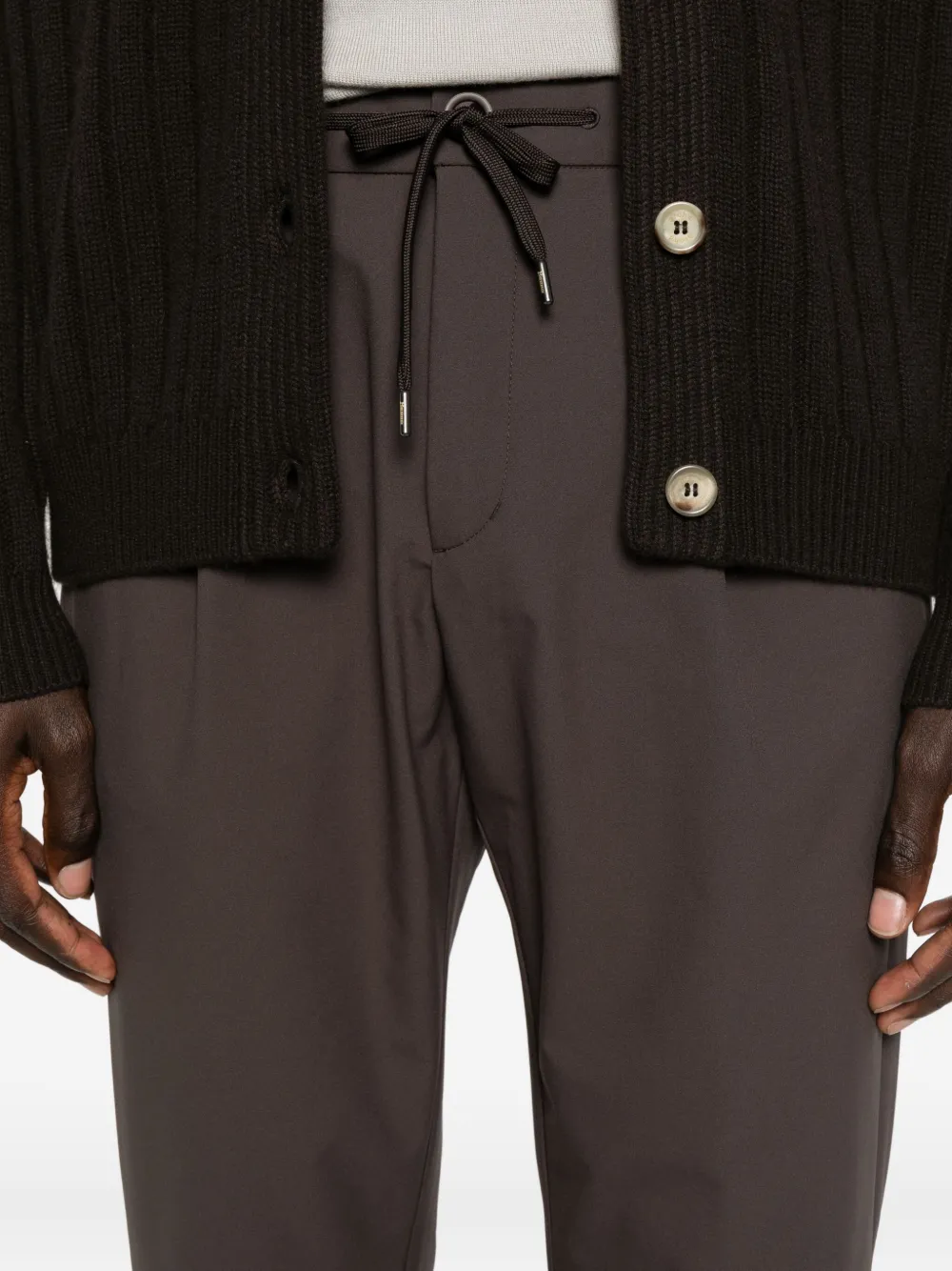 Herno Pleated Drawstring Trousers In Brown