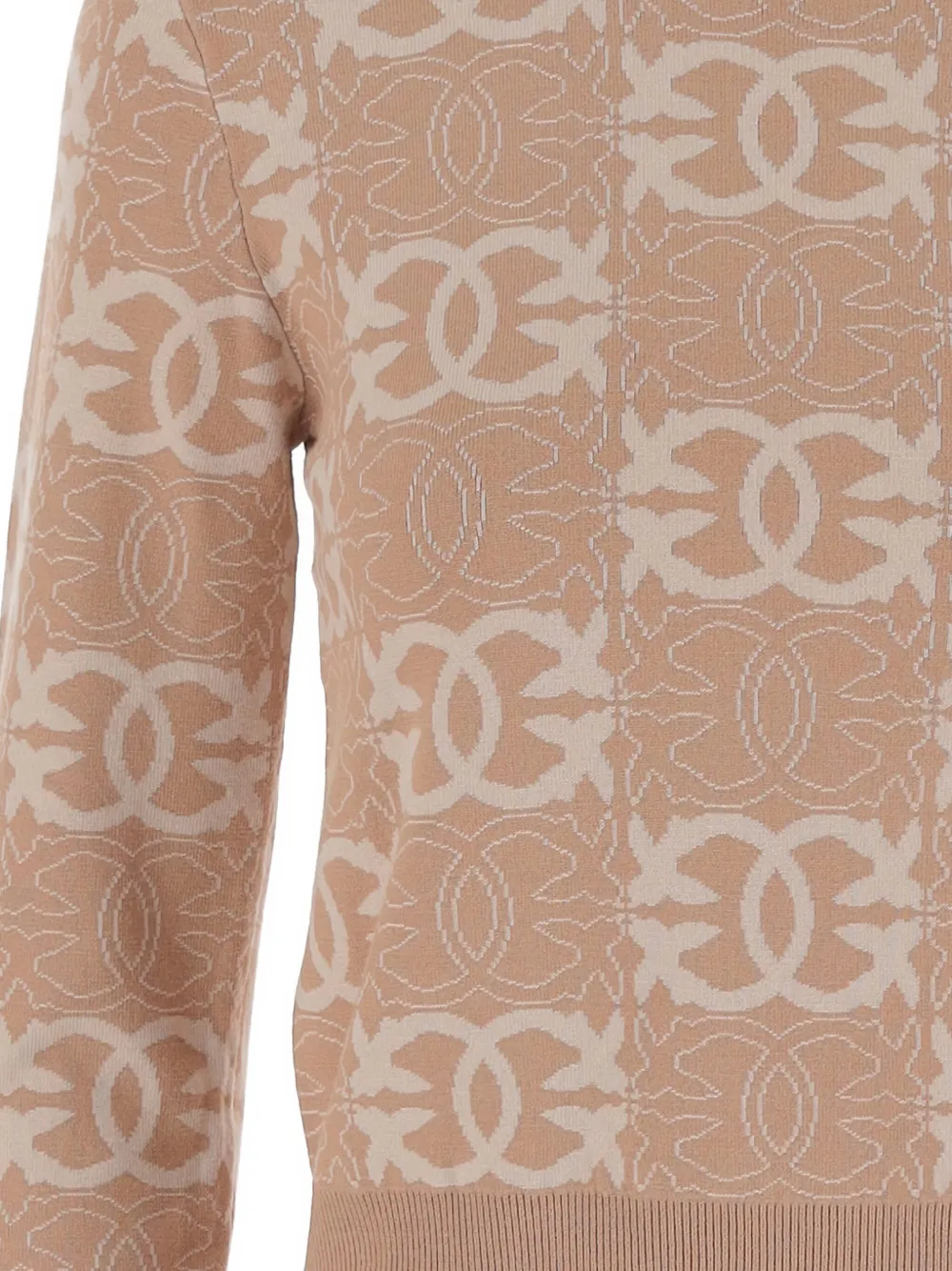PINKO Sweater met ronde hals en Love Birds-print Roze