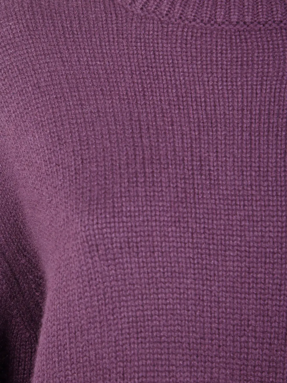 Lisa Yang Kasjmier coltrui Paars