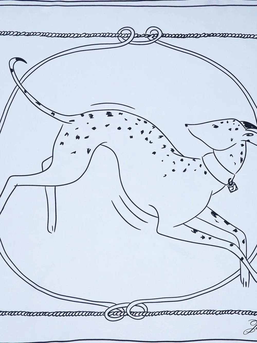 Jacquemus dog-print rope-border scarf | Image 2