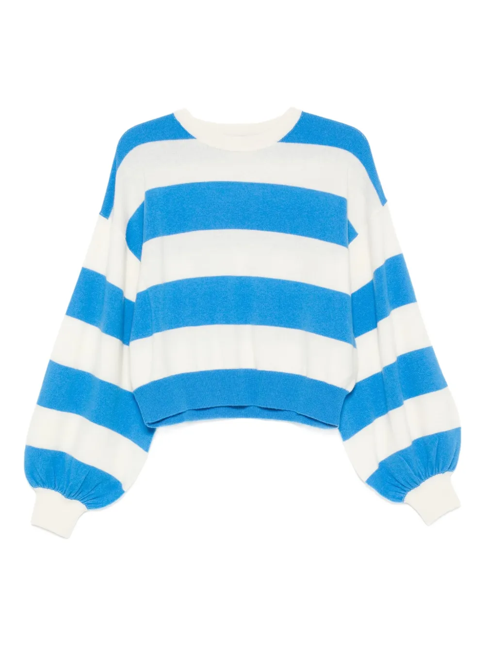 Attus jumper