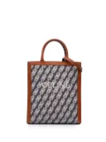 Céline Pre-Owned 2021-2025 Small Triomphe Canvas Maillon Vertical Cabas satchel - Blue