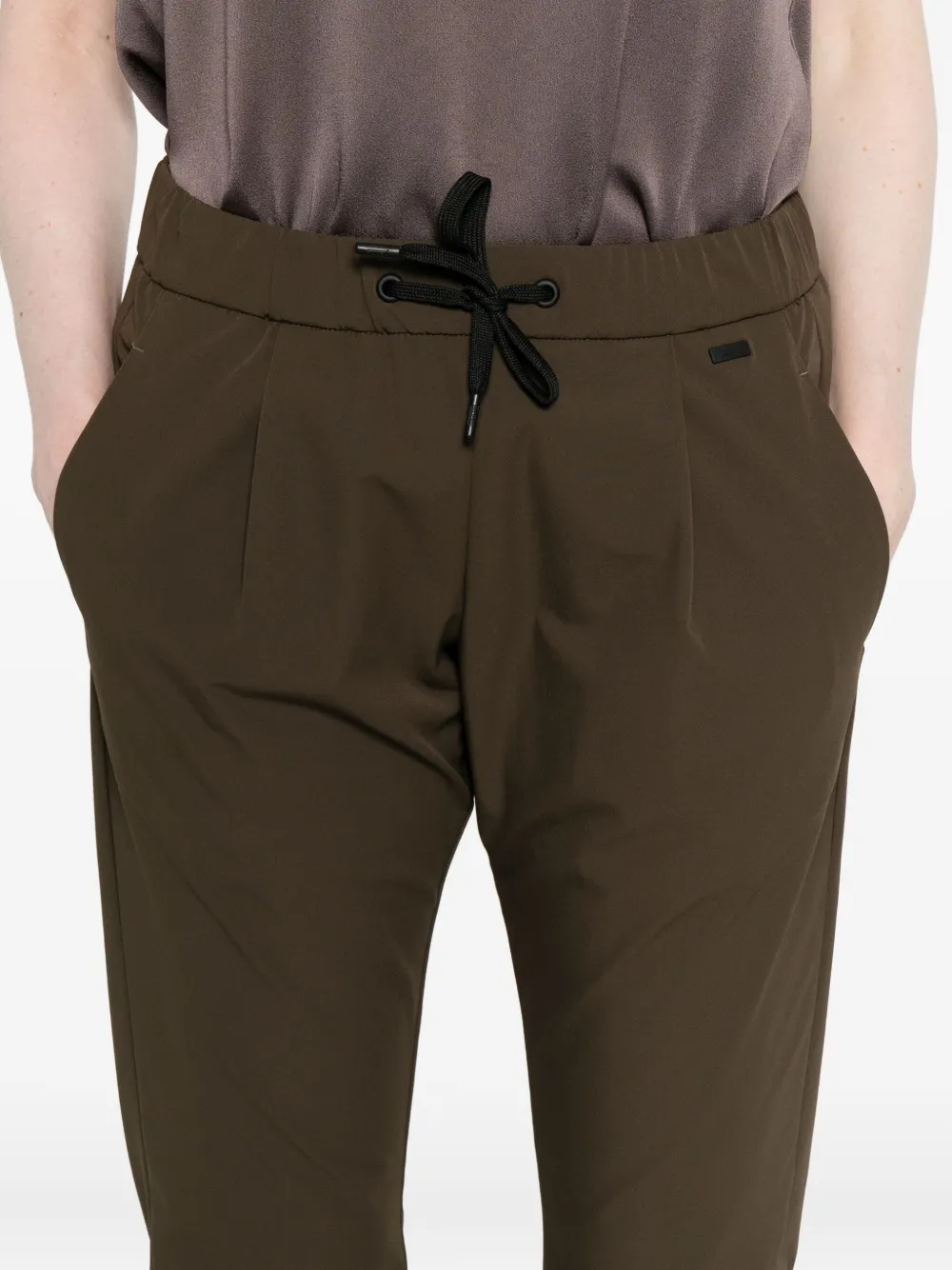 Herno Pleated Drawstring Trousers In Brown