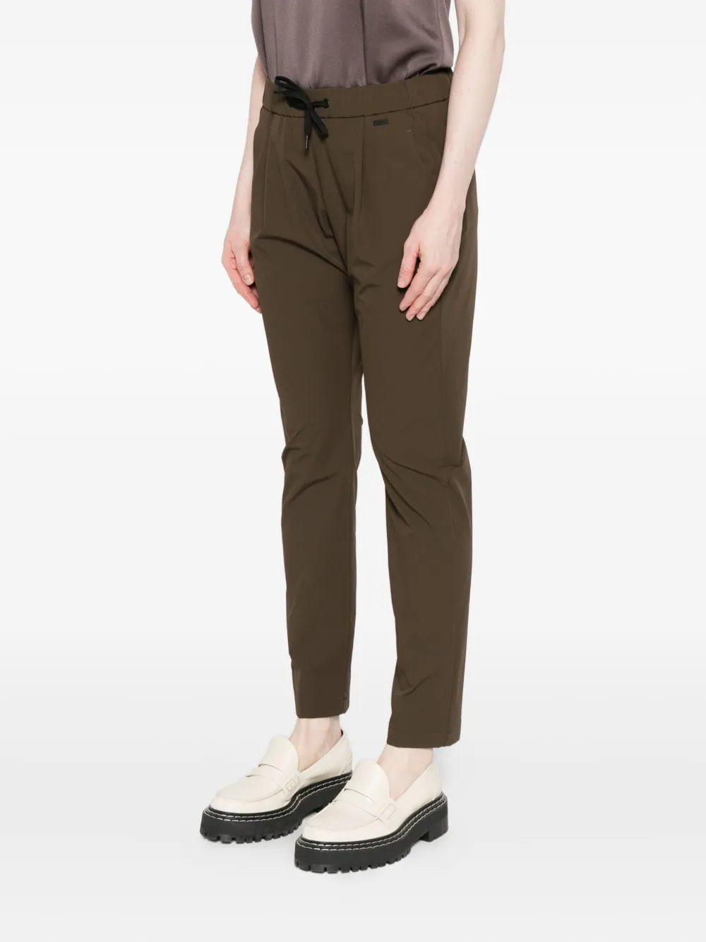 Herno Pleated Drawstring Trousers In Brown