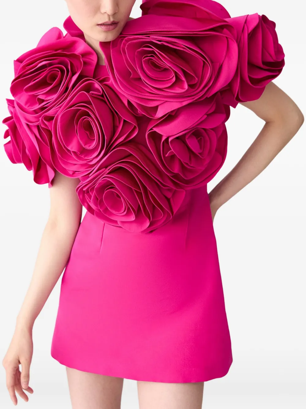 Carolina Herrera Mini-jurk verfraaid met rozen