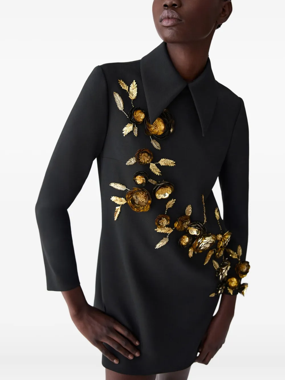 Carolina Herrera Floral-embellished Dress In Black