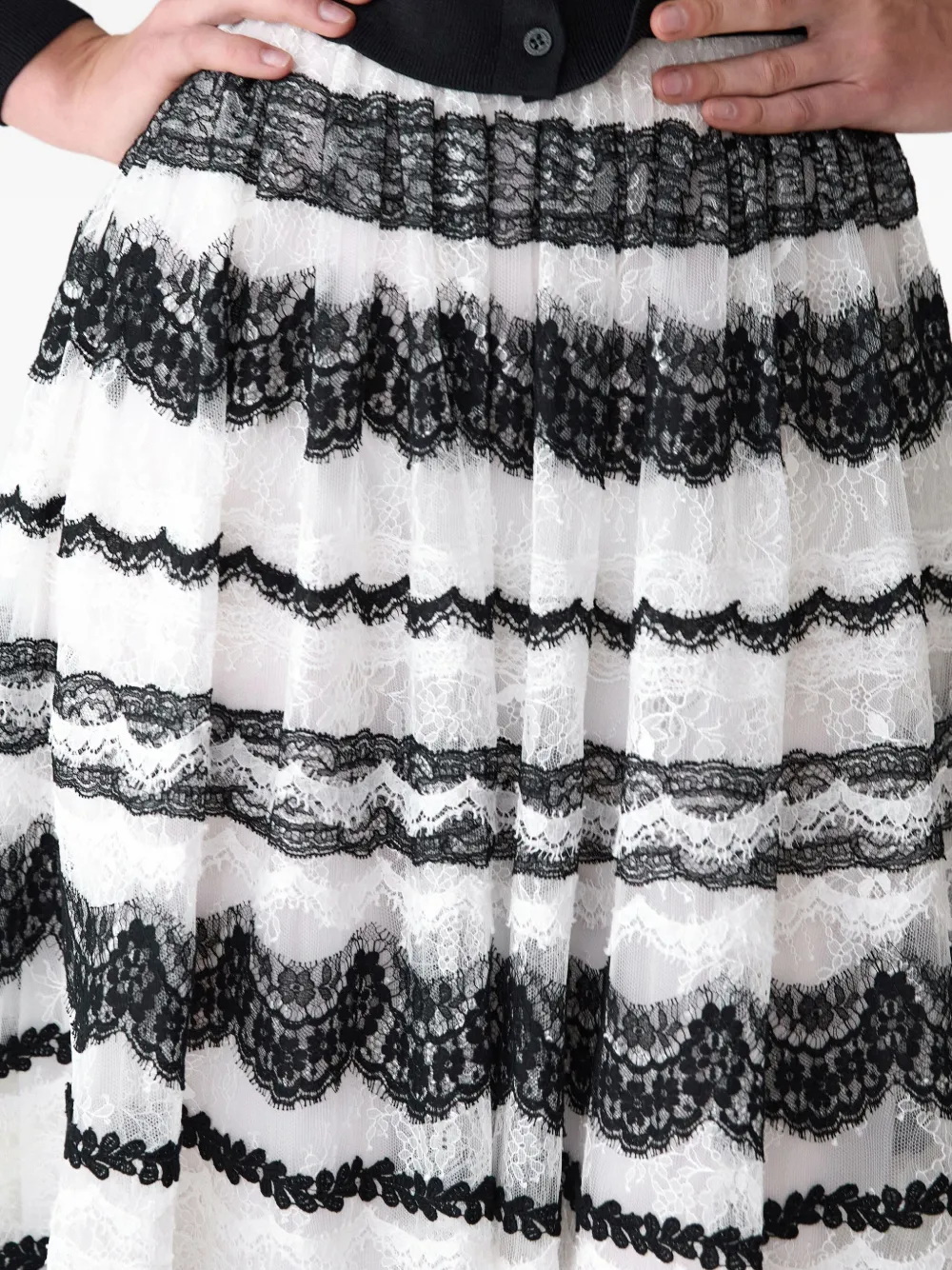 Carolina Herrera Lace-embellished Ball Skirt In Black