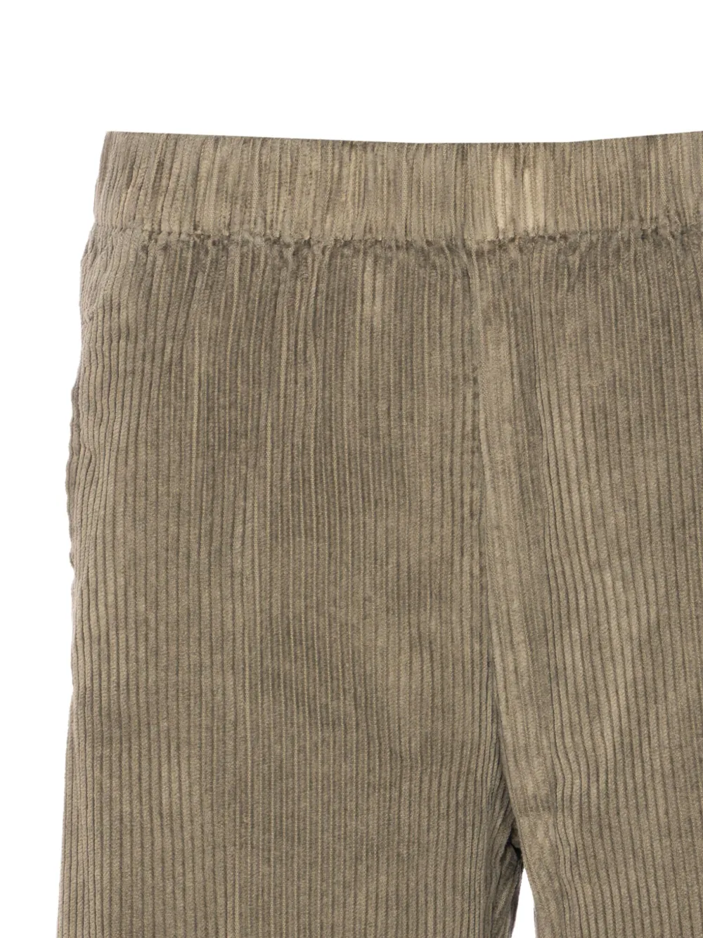 TRUE AVENUE Ribfluwelen broek Groen