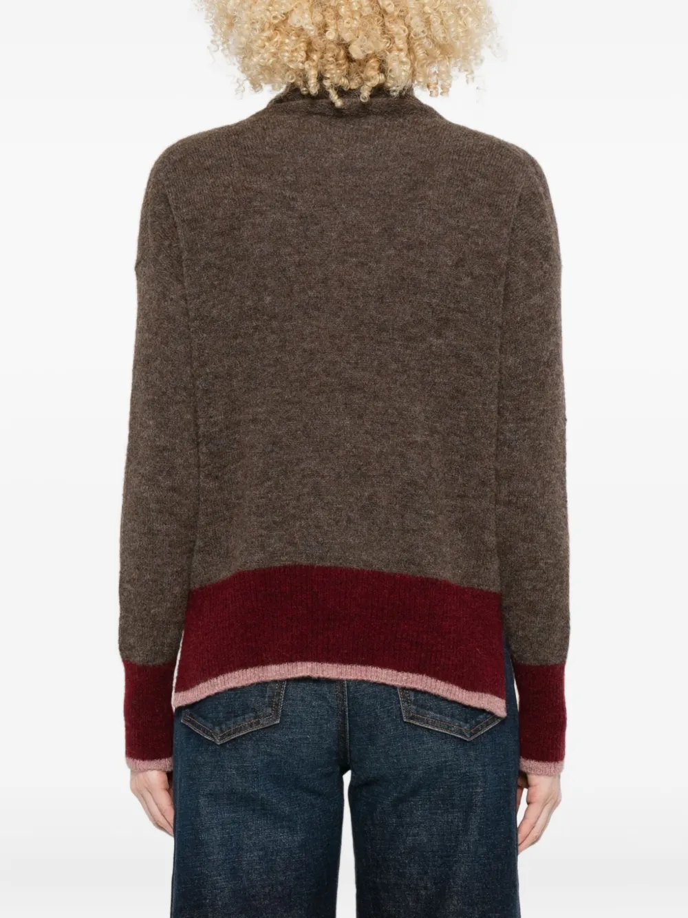 Why Ci Roll-neck Panelled Sweater In Brown