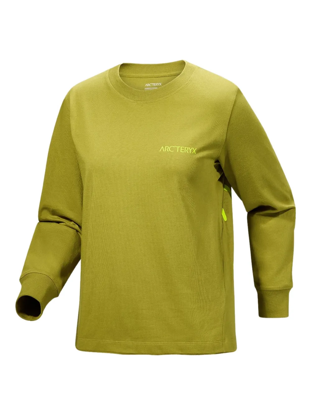Arc'teryx Kragg Bird-graphic Long-sleeve Top In Green