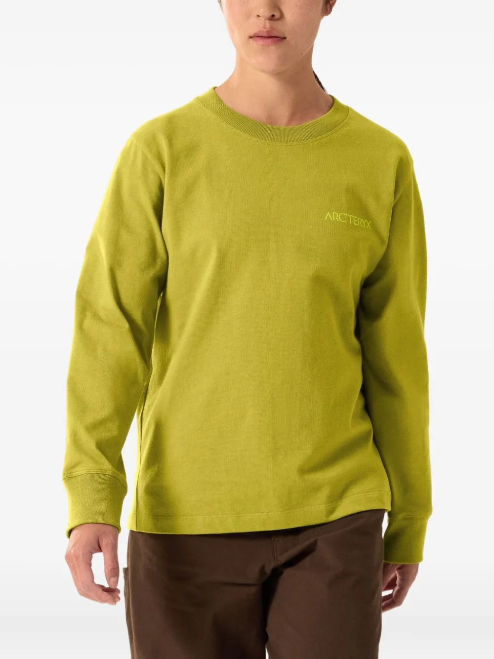 Arc'teryx Kragg Bird-graphic Long-sleeve Top In Green