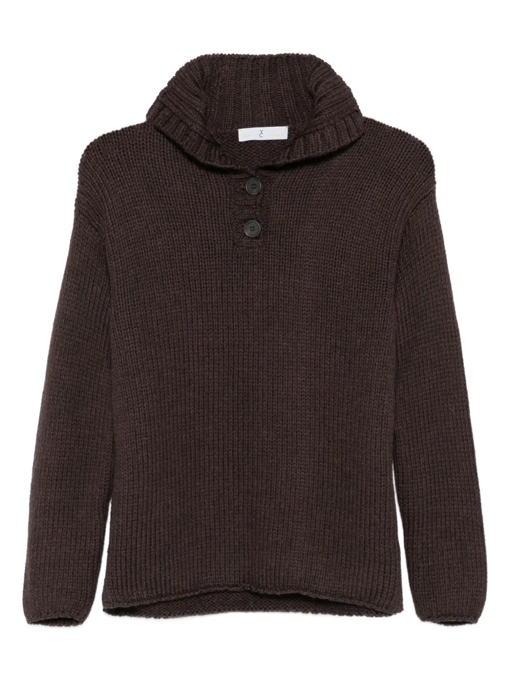 Why Ci Polo-collar Sweater In Brown