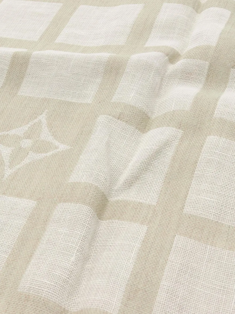 Louis Vuitton Pre-Owned 2010s monogram grid scarf | Image 2