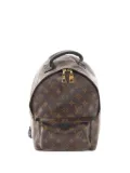 Louis Vuitton Pre-Owned 2017 Palm Springs PM backpack - Brown