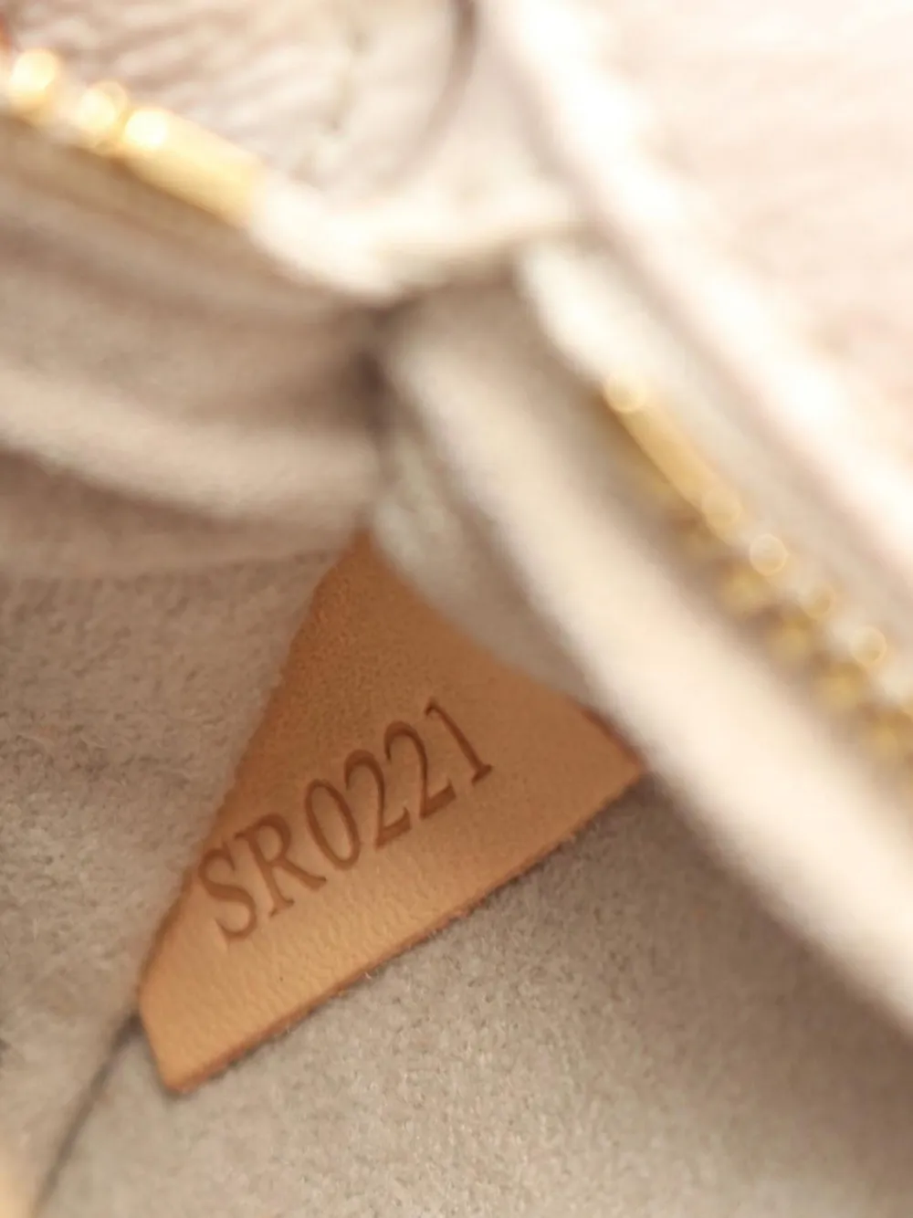 Pre-owned Louis Vuitton 2021 Monogram Backpack In Neutral