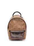Louis Vuitton Pre-Owned 2017 Palm Springs backpack - Brown