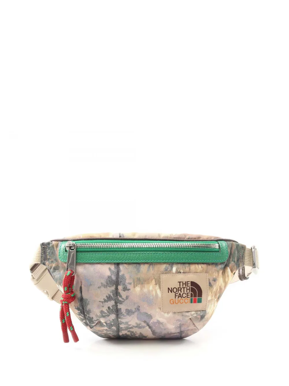 Gucci Pre-Owned 2016-2025 ザ ノースフェイス エコニール ベルトバッグ - ブラウン Gucci Pre-Owned 2016-2025 ザ ノースフェイス エコニール ベルトバッグ - ブラウン