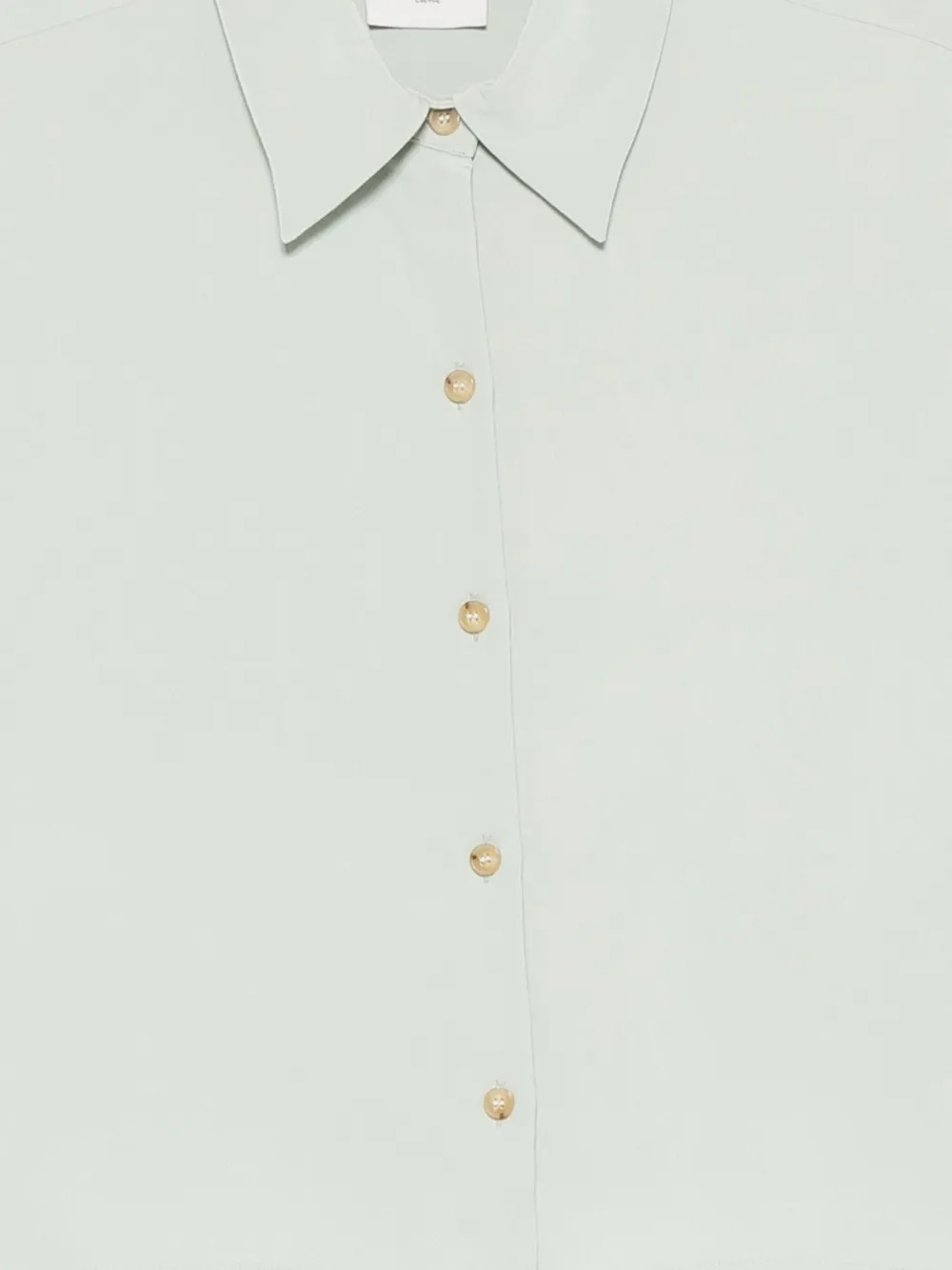 Alysi Button-front Silk Blouse In Green