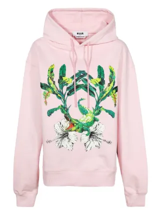 MSGM