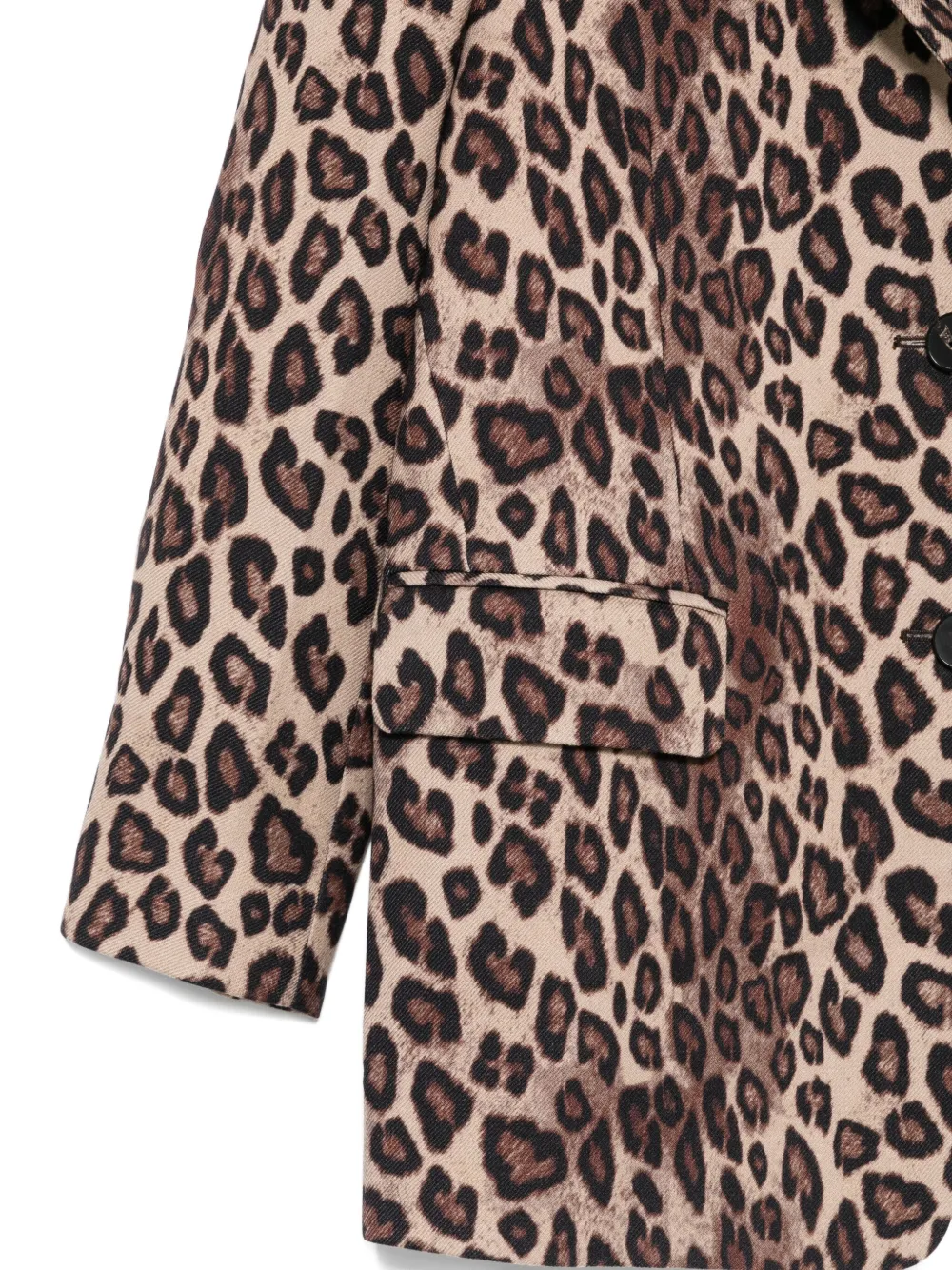 Alberto Biani Leopard-print Button Blazer In Animal Print