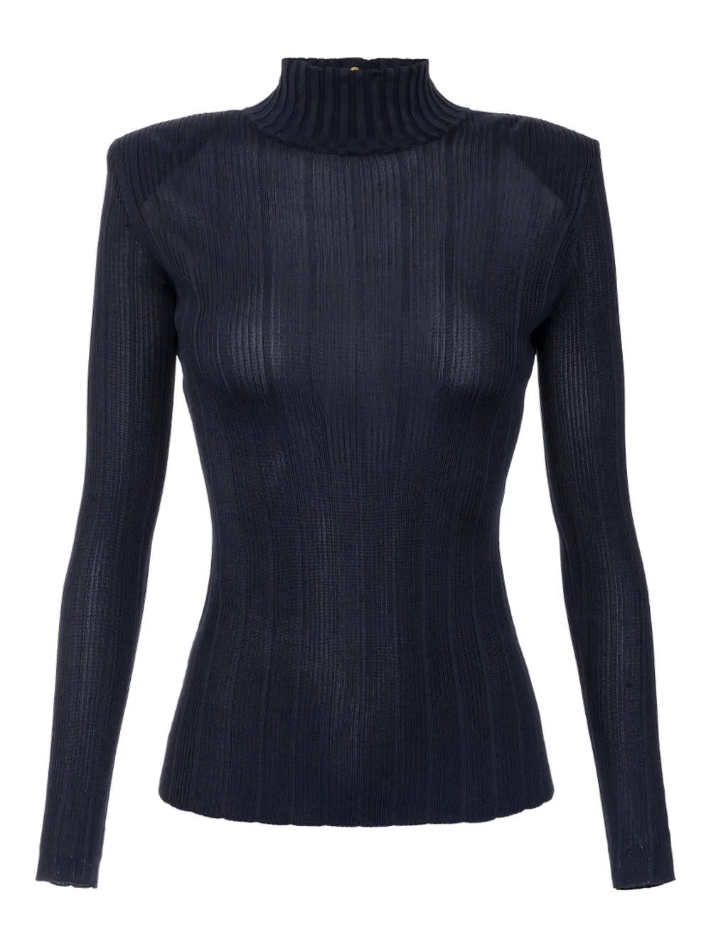Elisabetta Franchi Ribbed Turtleneck Top In Blue