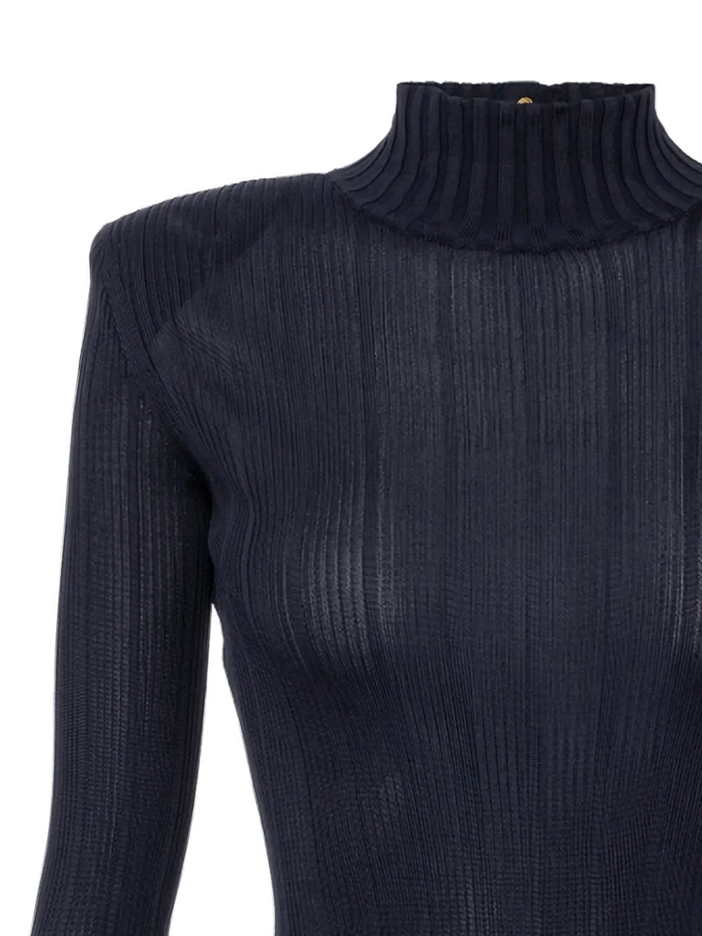 Elisabetta Franchi Ribbed Turtleneck Top In Blue