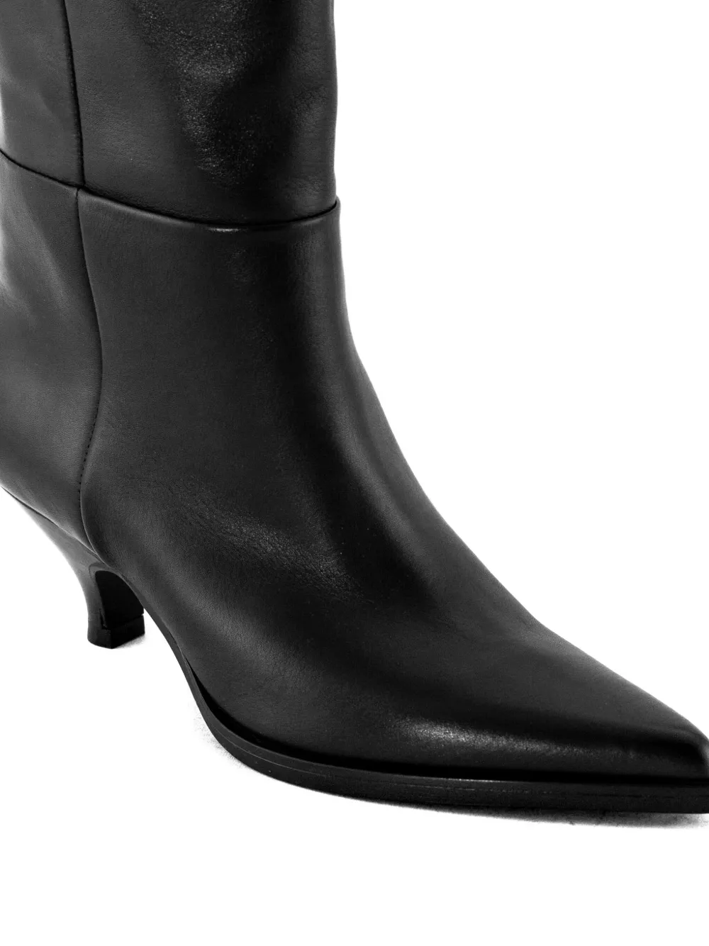 Elena Iachi Pointed-toe Zip-up Boots In Black