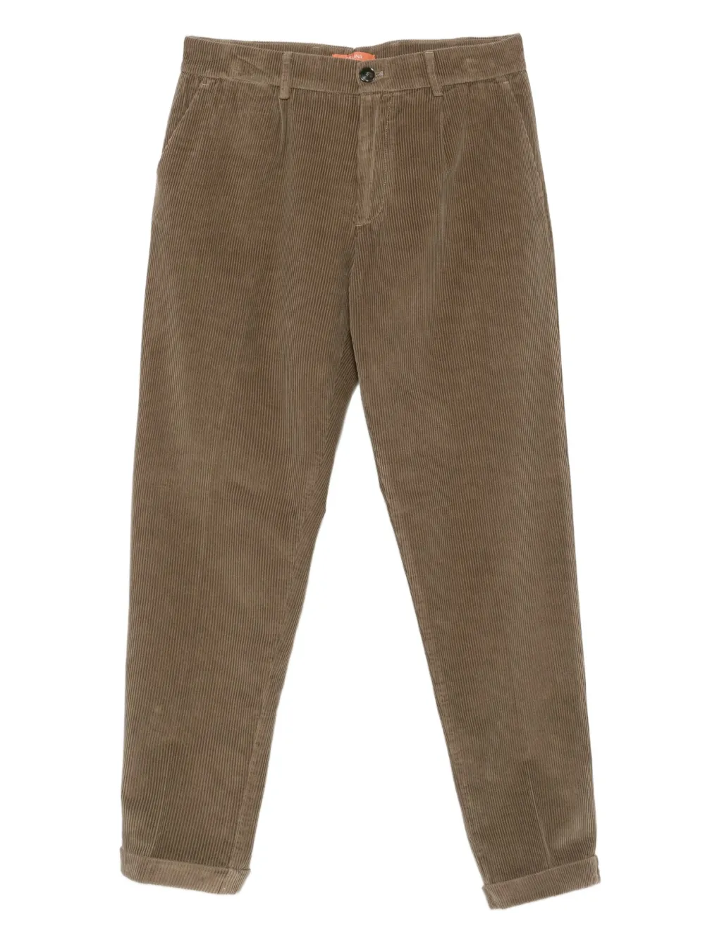 Cruna pleated corduroy trousers | Brown | Image 1