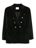 Circolo 1901 velvet double-breasted jacket - Green