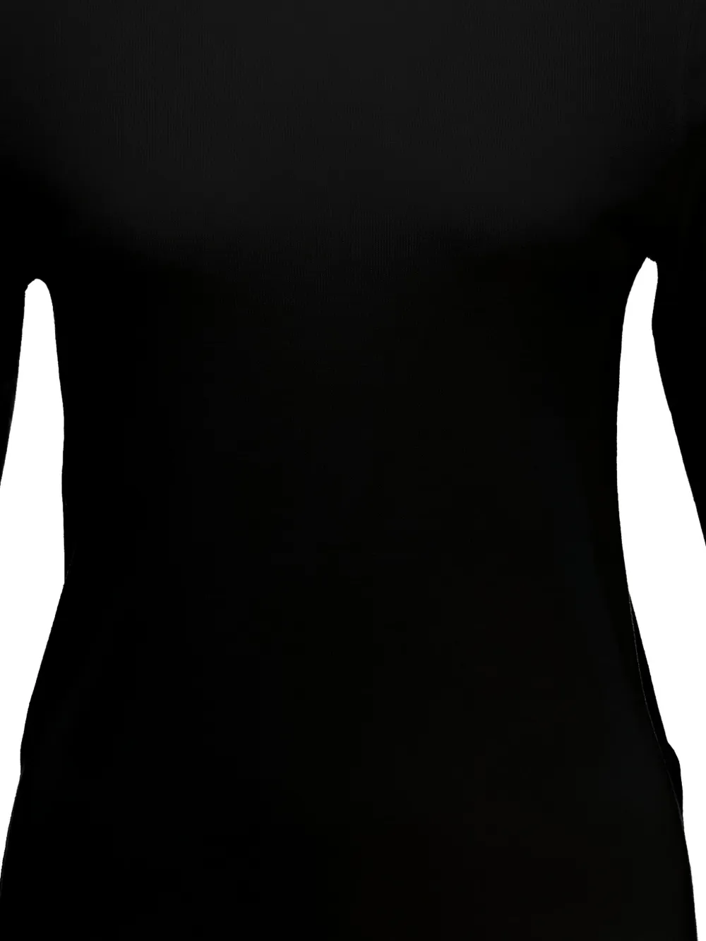 Allude Turtleneck Sweater In Black