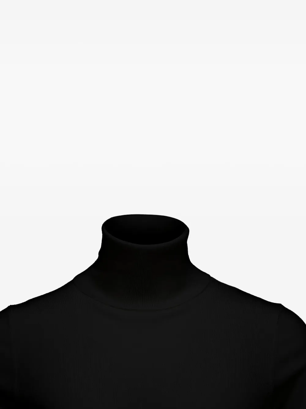 Allude Turtleneck Sweater In Black