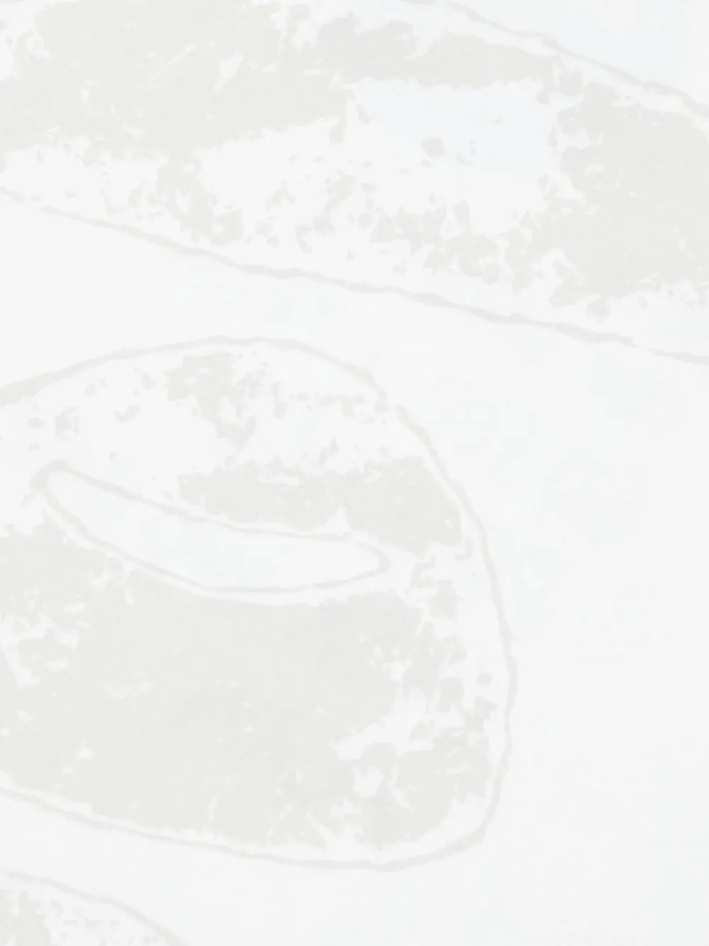 AAPE BY *A BATHING APE T-shirt met lange mouwen Wit