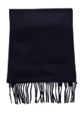 THE DYNAMIS STUDIO fringed scarf - Blue