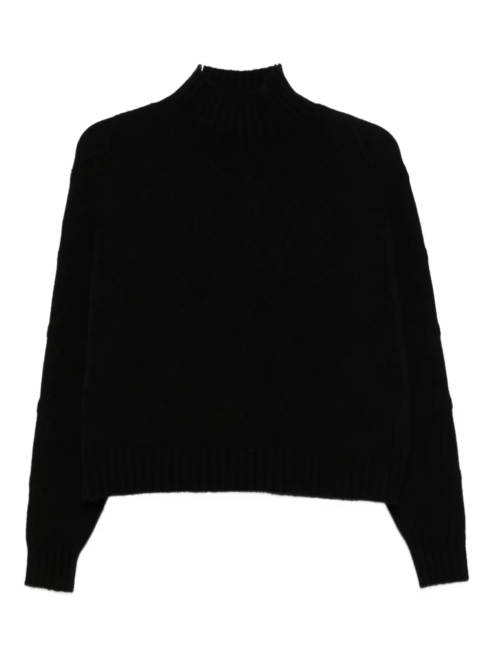 Elisabetta Franchi High-neck Sweater In Black
