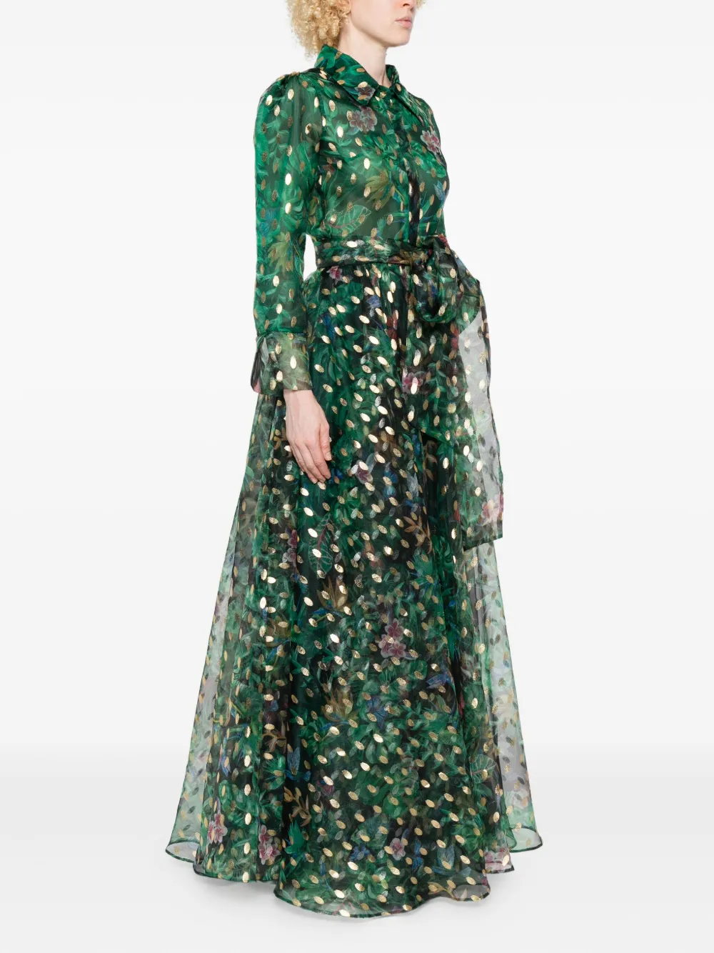 Miau By Clara Rotescu Printed Long-sleeve Maxi Dress In Green