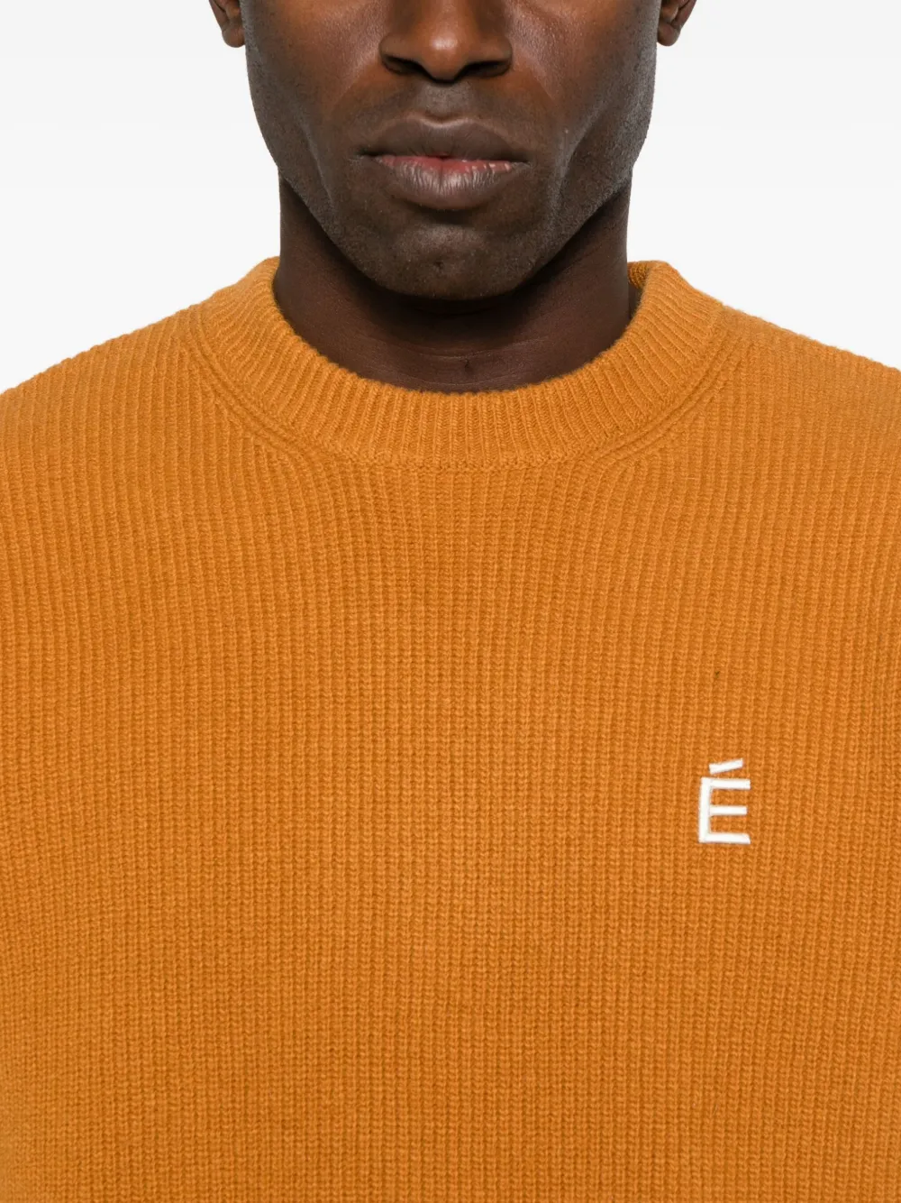 Etudes Studio Ribbed Round-neck Sweater In Brown