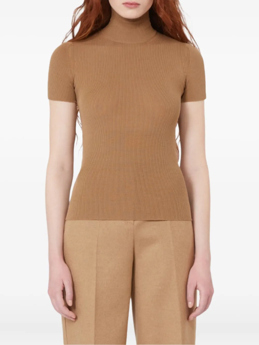 Max Mara Ribbed Turtleneck Top In Brown