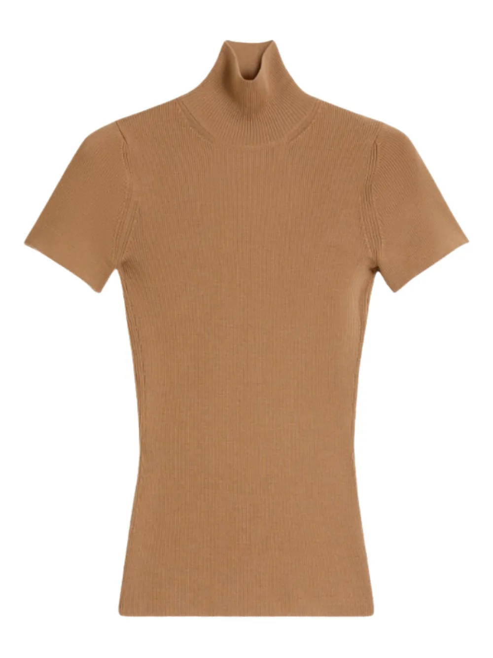 Max Mara Ribbed Turtleneck Top In Brown