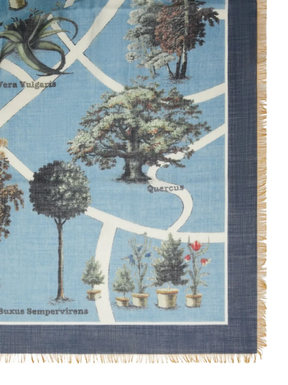 Max Mara Sjaal met botanische print - Blauw